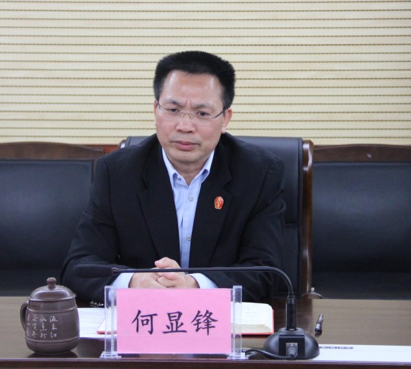 钦南区人民法院党组书记、院长何显锋作重要讲话